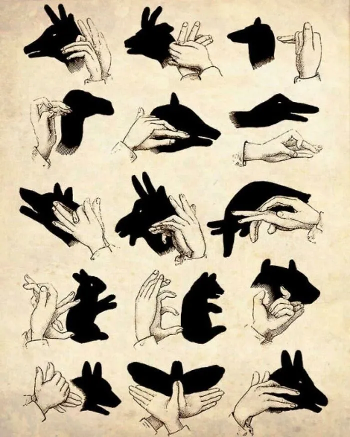 Conviértete en un maestro de las sombras con estos simples pasos (además, es un buen título para tu currículum)