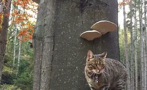 50 Times People Found Something Amazing While Foraging And Just Had To Share In This Dedicated Online Group