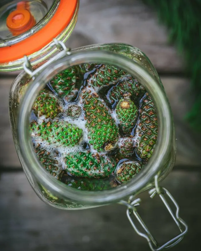 Mi nueva bebida fermentada favorita: refresco de piña salvaje sin madurar