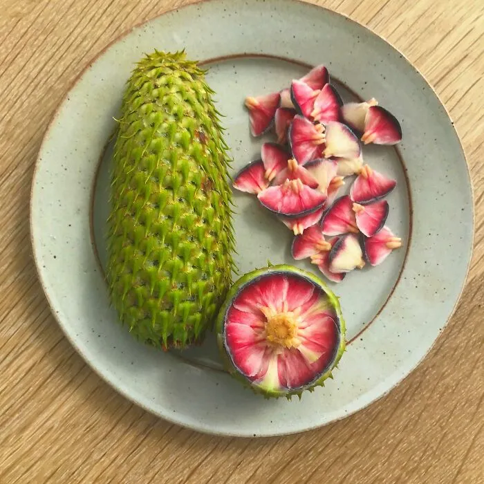 First Noble Fir Pine Cone Of The Year In Denmark. So Tender, So Delicious!
