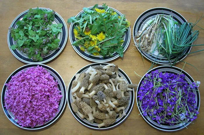 La primavera ha comenzado