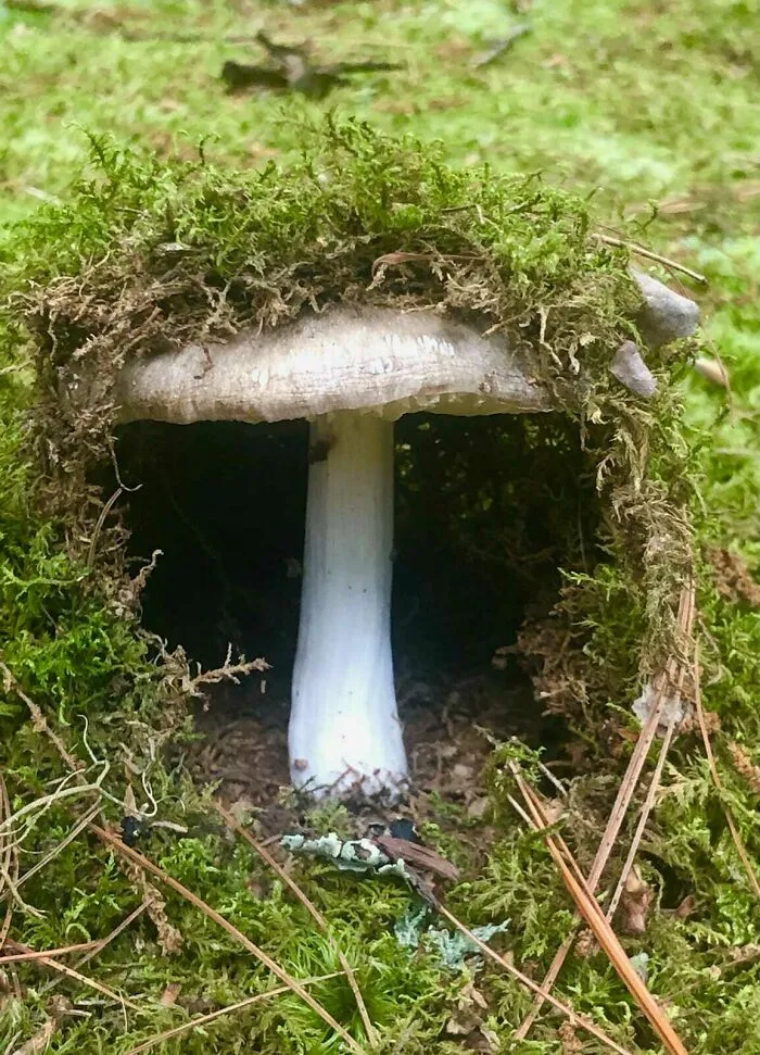 What Is In There?