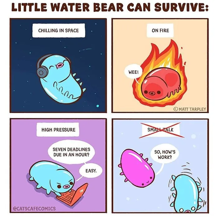 "A Calming Place Where Everyone Can Feel Welcome": 30 Comics By Matt Tarpley Depicting The Lives Of Cute Animals