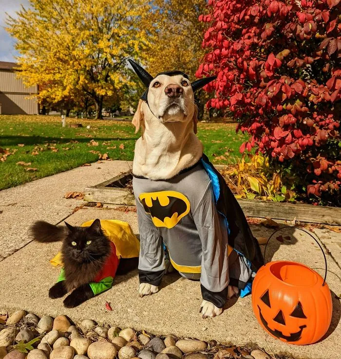 Happy Halloween