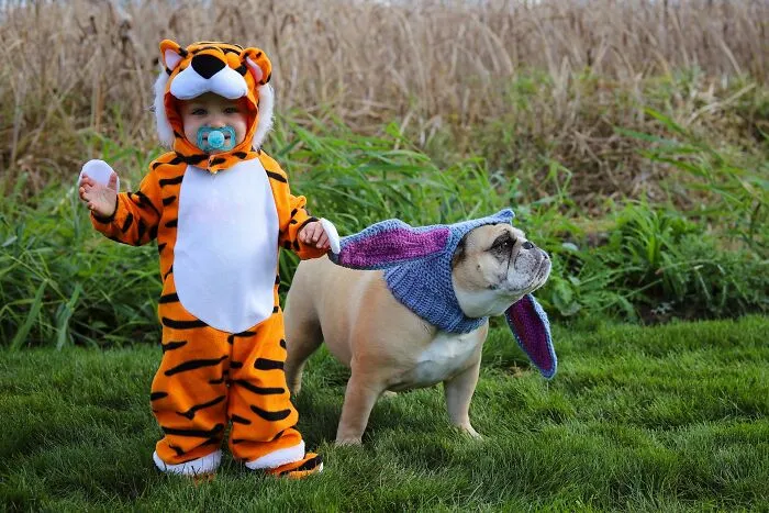 My Nephew As Tigger, And His Trusty Sidekick Eeyore For Halloween