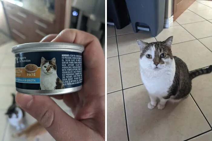Lo adoptamos a los 2 años y siempre nos preguntamos cómo era de pequeño. Ahora lo sabemos