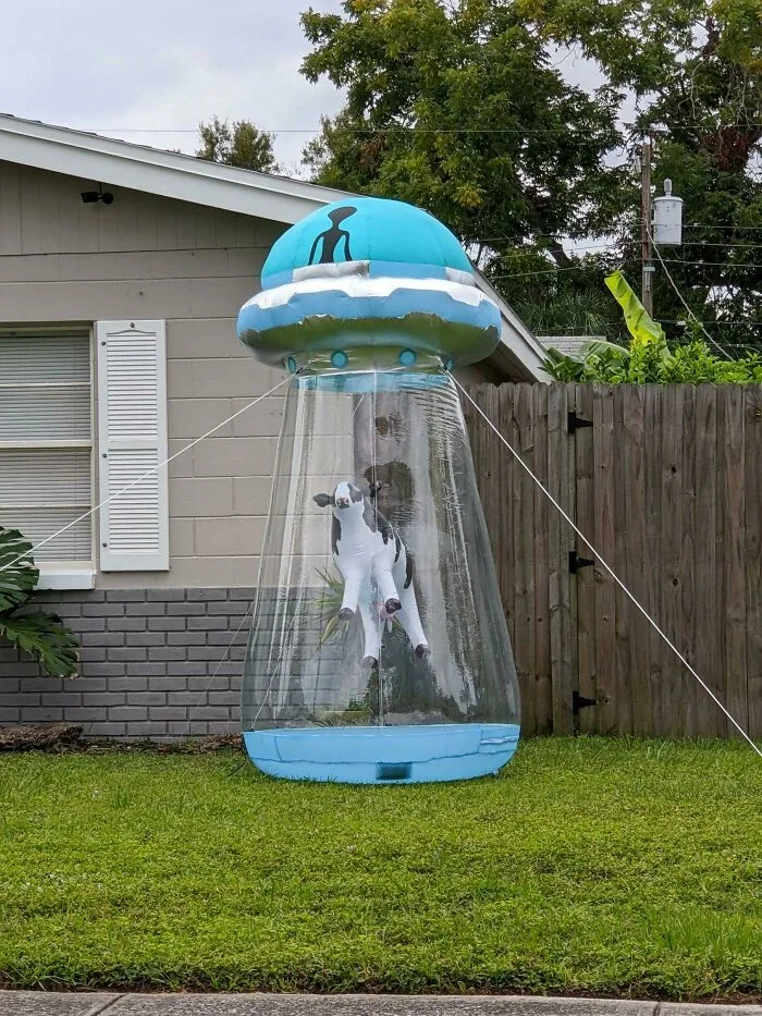 Spotted This In Someone's Yard On My Morning Walk