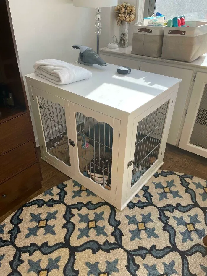 This Luxury Dog Crate Was Being Thrown Out By Someone In My Building Who Couldn’t Keep Their Puppy