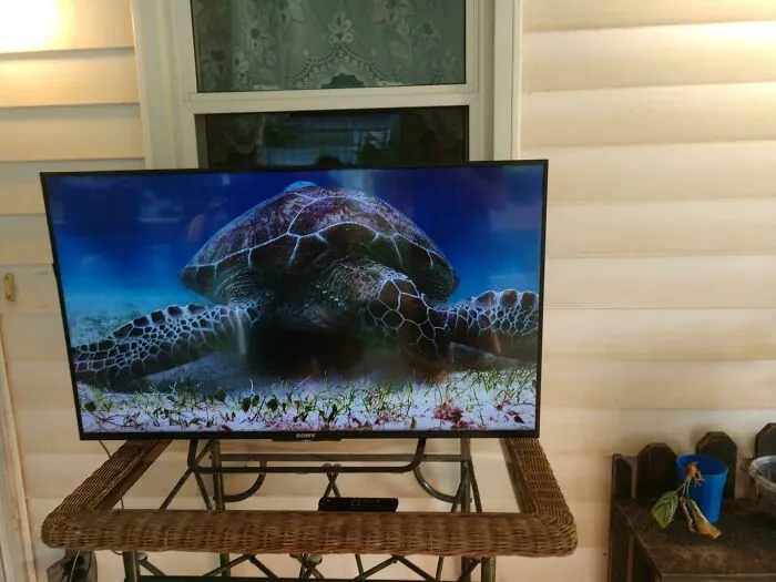 No veo mucho la televisión, pero cuando lo hago, viene de la acera. TV Sony 4k totalmente funcional. Gracias a los dioses de la acera