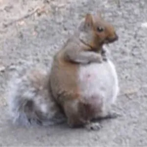 r r