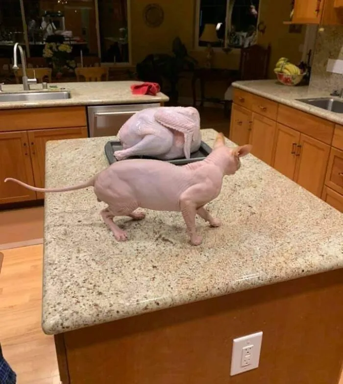 Blursed Resemblance