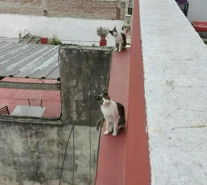 Esto es un fallo en la Matrix