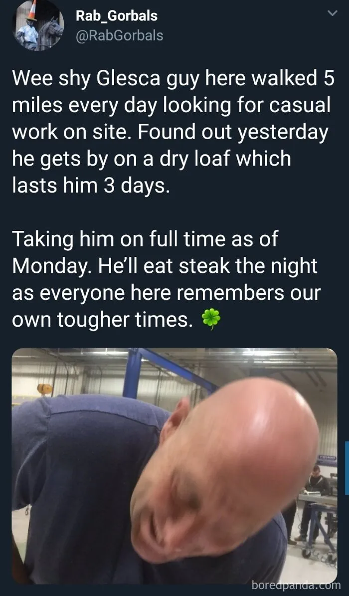 Wholesome Spt