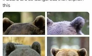 'O Canada': This Online Page Shares Memes About Life In Canada That Sum Up The Country Perfectly