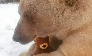 50 Pics Without Context That Get Weirder And Weirder The Longer You Look At Them, As Shared On This Online Group (New Pics)