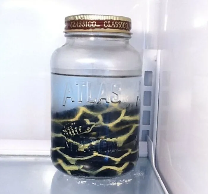 I Checked Into My Airbnb Apartment In Seattle Today And Saw This When I Opened The Fridge