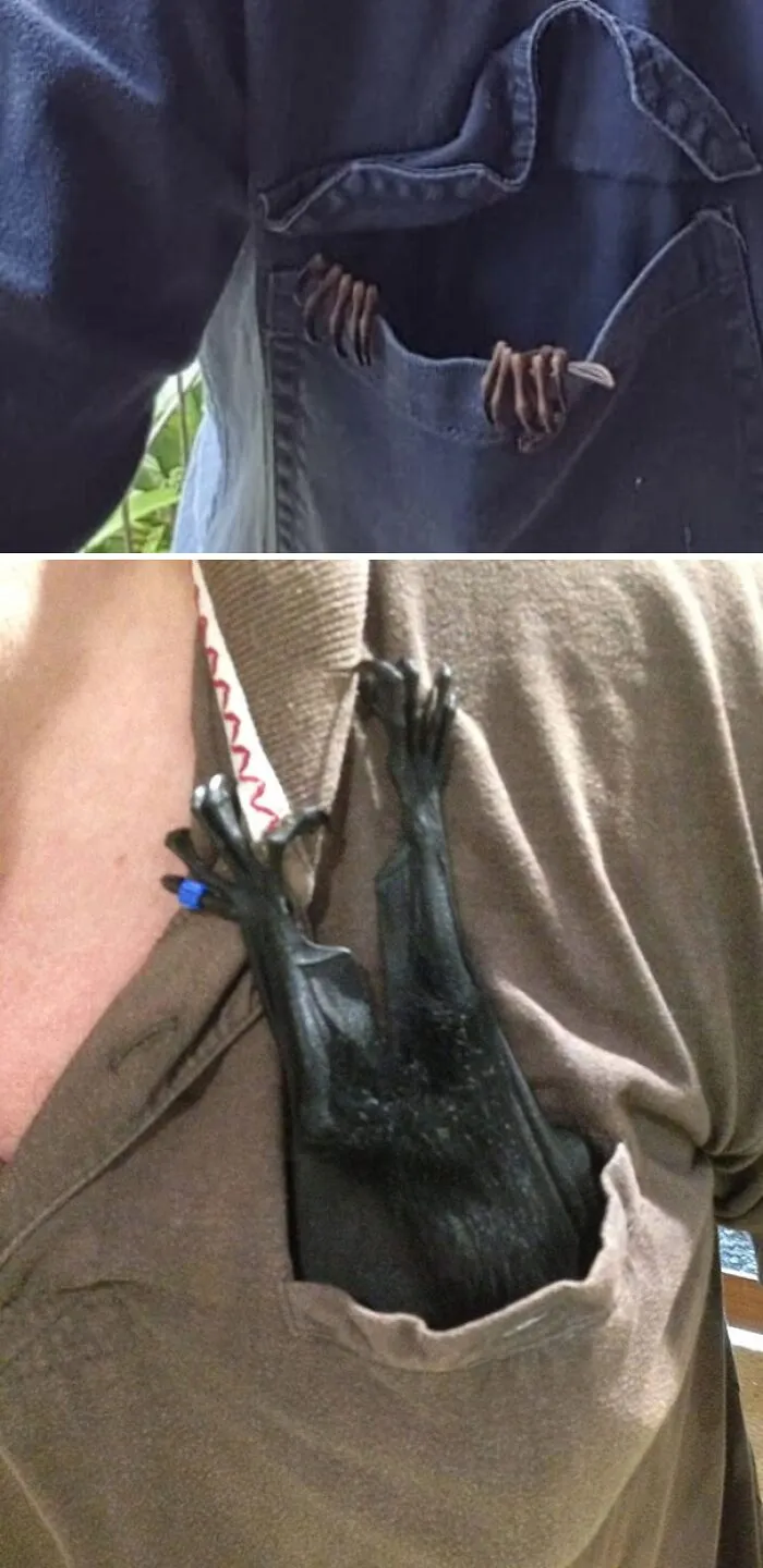 Anyone Else Love Bat Grabbies?
