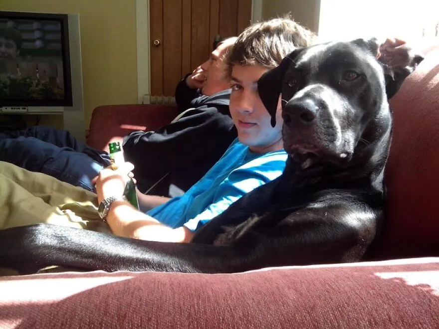  A veces creo que el perro de mi amigo es un humano disfrazado de perro