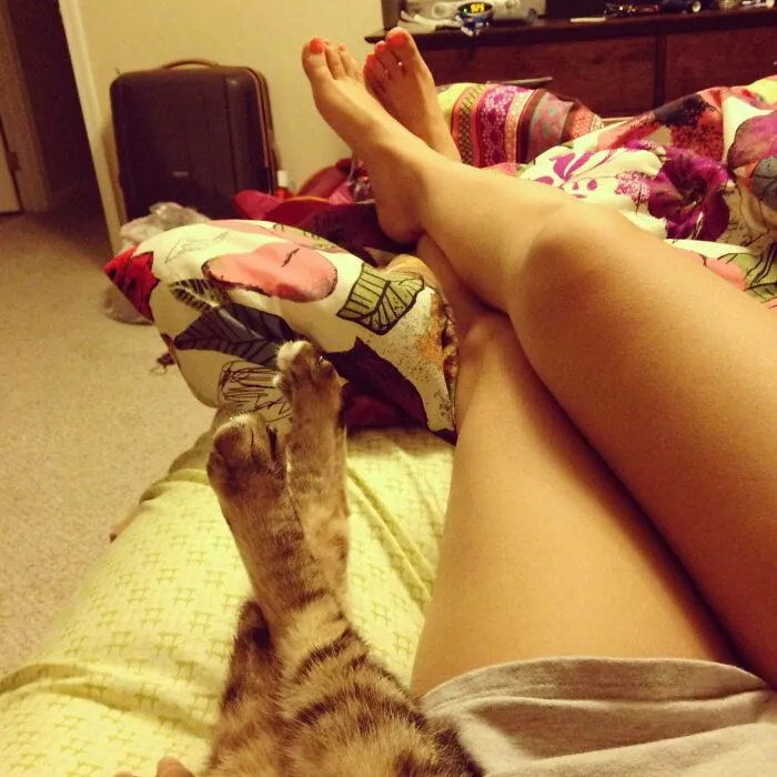 A mi gato y a mí nos gusta relajarnos