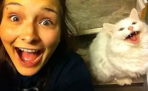 50 Images Exposing Just How Incredibly Similar Some Pets And Their Owners Are