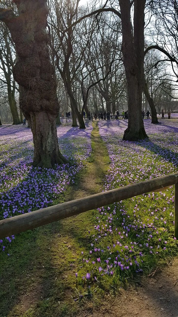 Found This Beautiful Path Earlier This Year