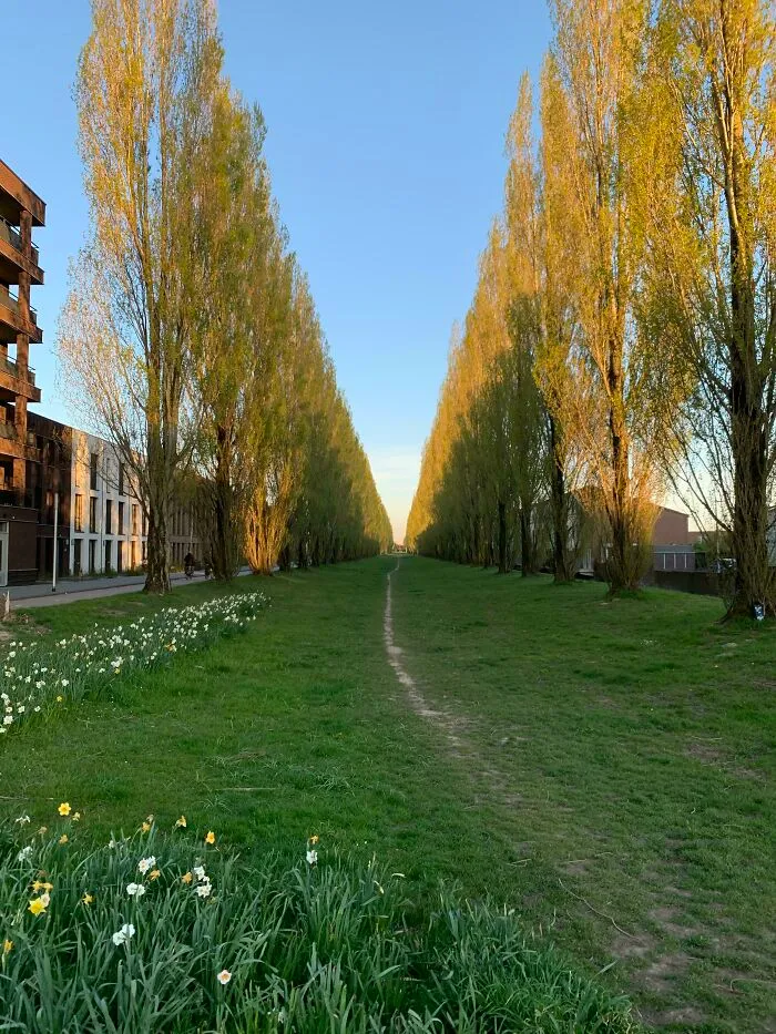 The Never Ending Path