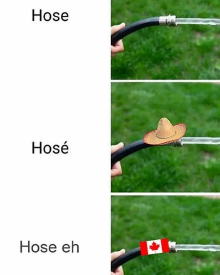 Meme humorously categorizes a hose with Canada-themed wordplay using a flag.