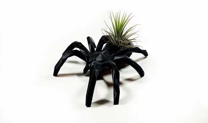 Black Spider Air Plant Holder