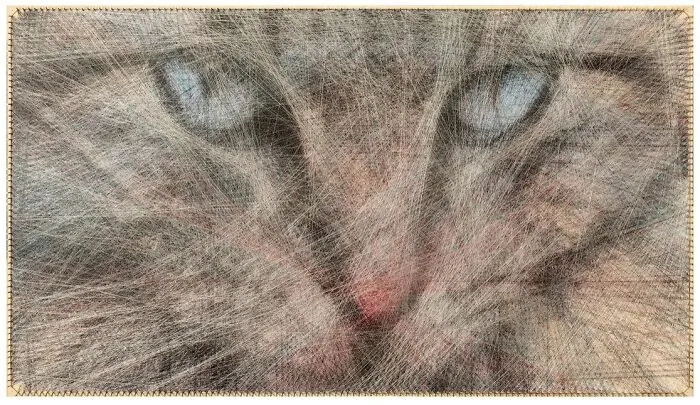 Blue-Eyed Cat