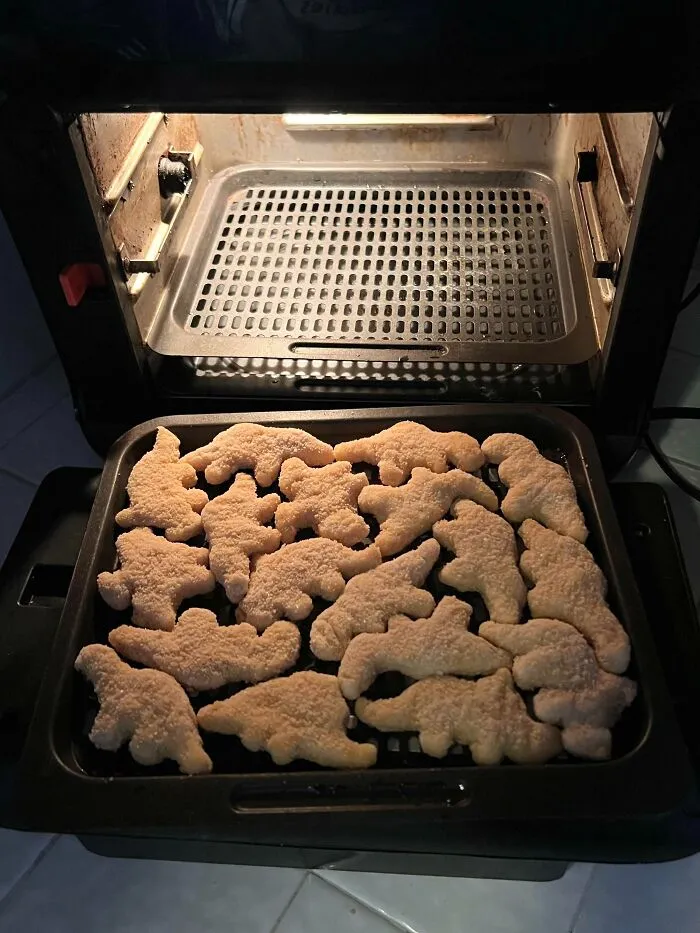 I Know It’s Not The Usual Fare But I Was Oddly Satisfied By How The Dino Nuggies Fit