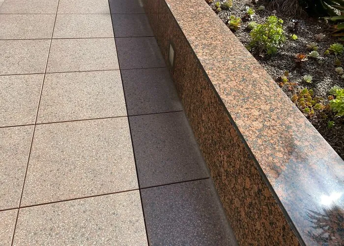This Shadow On My Walk