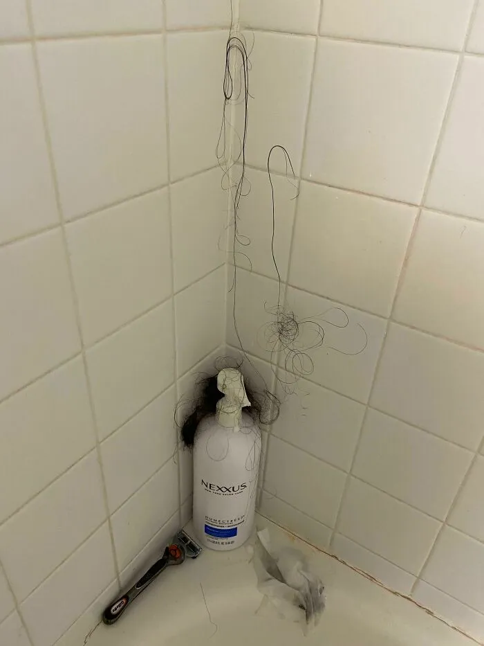 Mi compañera de piso ha empezado una colección