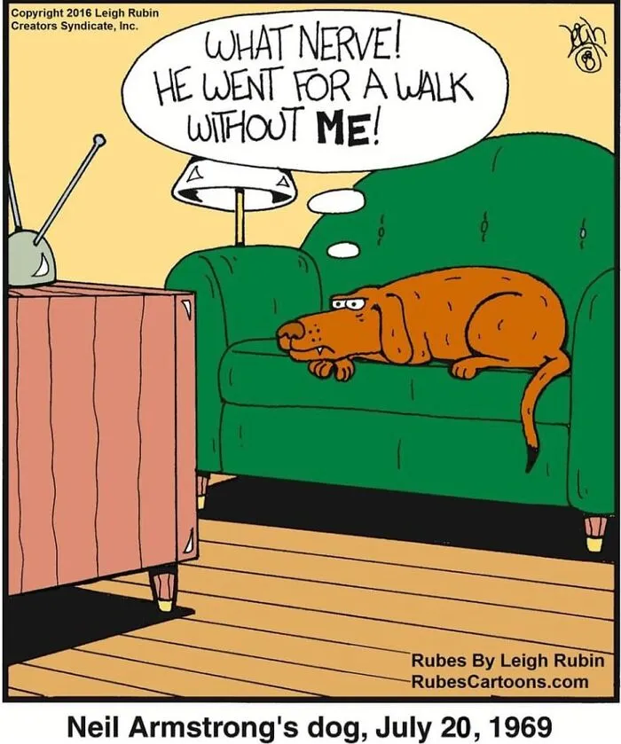 50 Humorous And Silly Comics By Rubes Cartoons