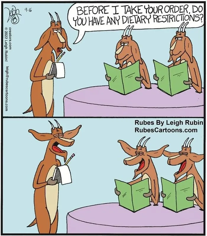 50 Humorous And Silly Comics By Rubes Cartoons