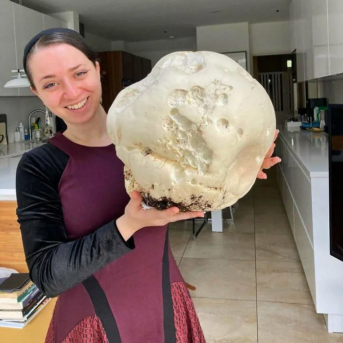 My Giant Puffball Find From Last Autumn - As It Was So Ridiculously Huge I Then Decided To Take Some Fun Pics With It