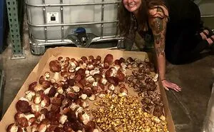39 Times Mushroom Pickers Stumbled Upon The Weirdest Species And Shared Them Online