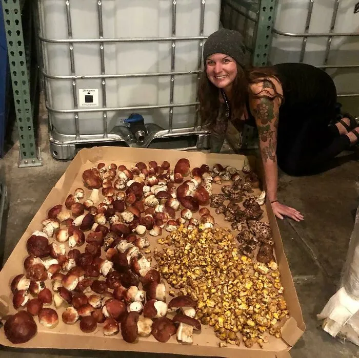 Unrelenting Rain In Colorado- Total Frenzy On The Forest Floor. I Can’t Stop Smiling!