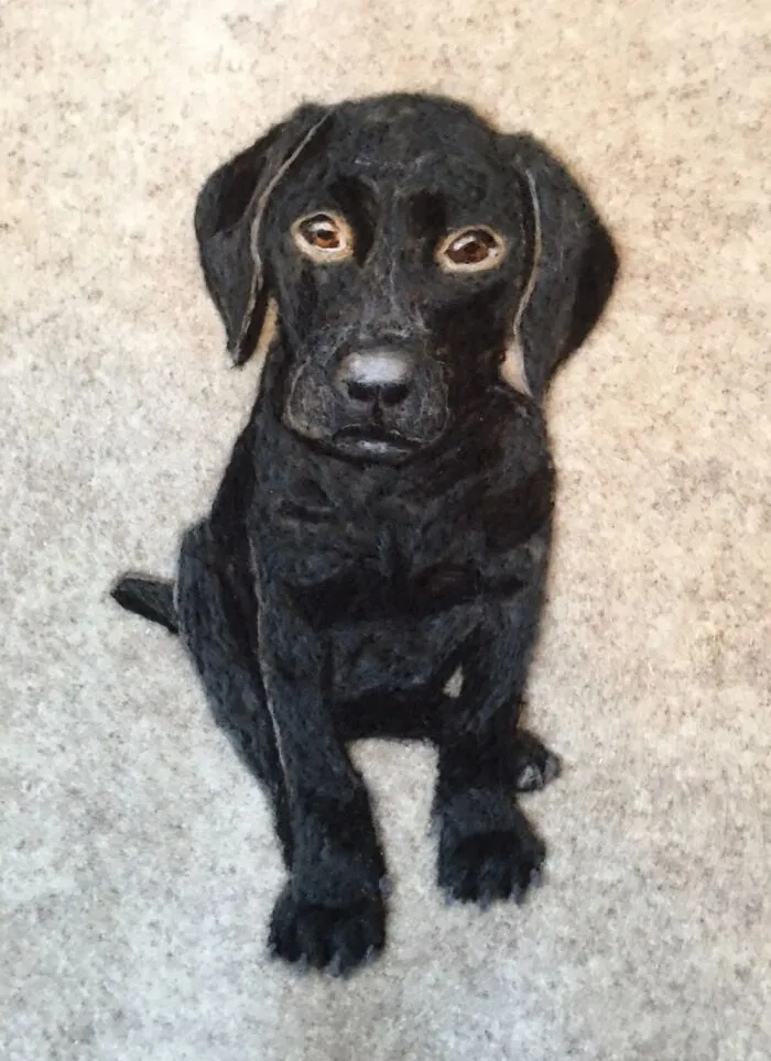 My Friend’s Pupster, Needle Felted  (So Happy As I Can’t Draw For Toffee)