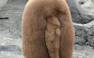 50 Times People Spotted 'Absolute Units' And Just Had To Share Pics With This Online Group (New Pics)