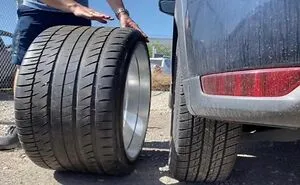 50 Times People Spotted 'Absolute Units' And Just Had To Share Pics With This Online Group (New Pics)