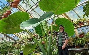 50 Times People Spotted 'Absolute Units' And Just Had To Share Pics With This Online Group (New Pics)