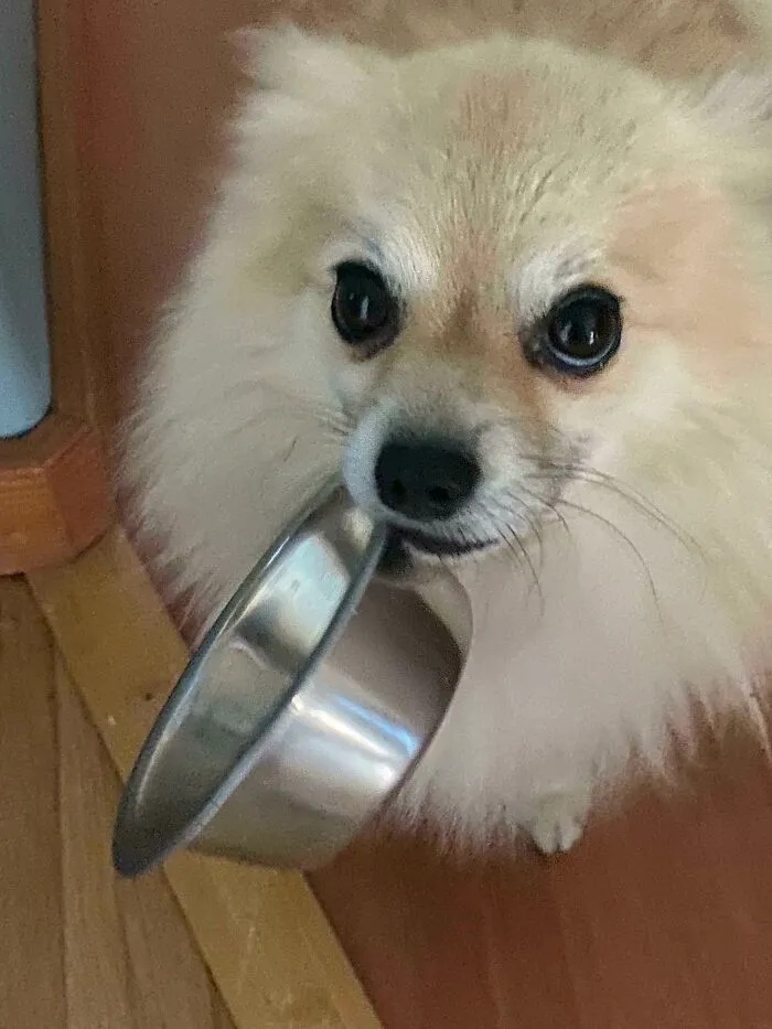 Those Eyes
