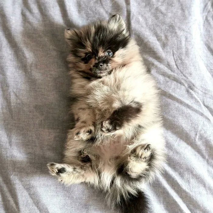 Help Me Name Him!