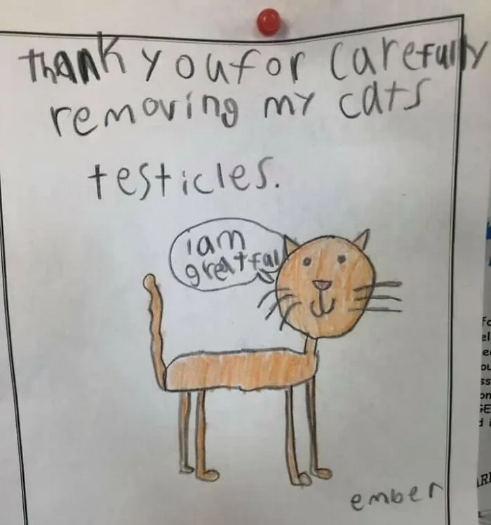 This Made Our Day