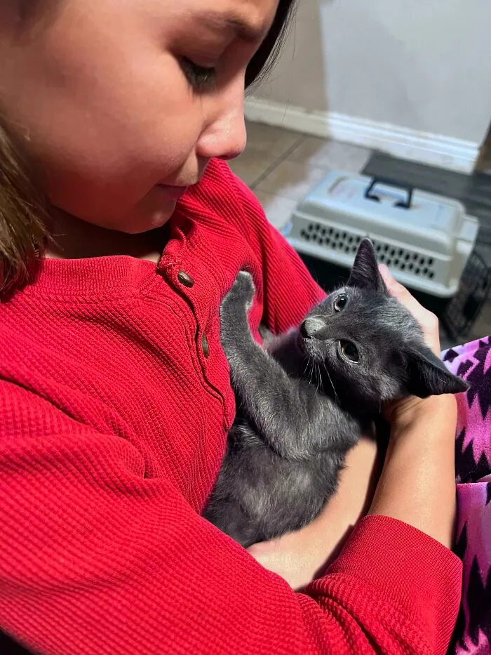 Esta pequeña delincuente ilegal ha estado viviendo en mi patio trasero. Nadie quiere adoptarla, así que supongo que ahora es mi delincuente ilegal