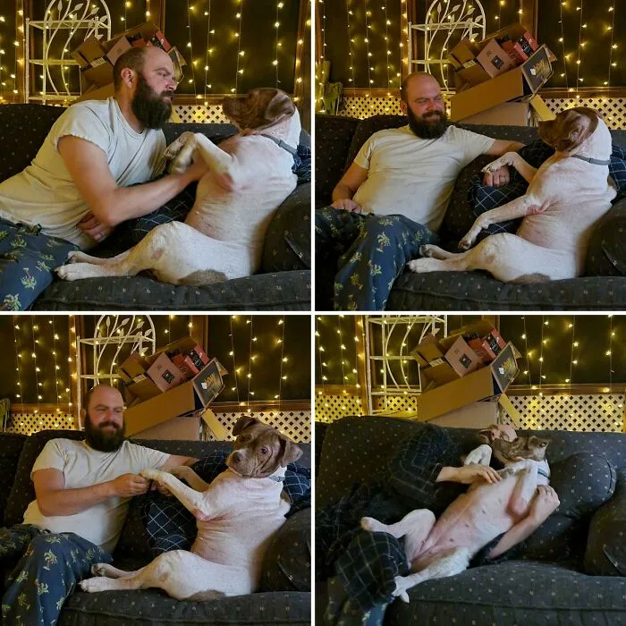Adoptamos a Flower hace unas semanas después de la primera acogida porque "no estábamos preparados para otro perro". Ella ama mucho a mi novio y también se sienta así