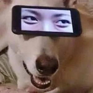 Dog-chan