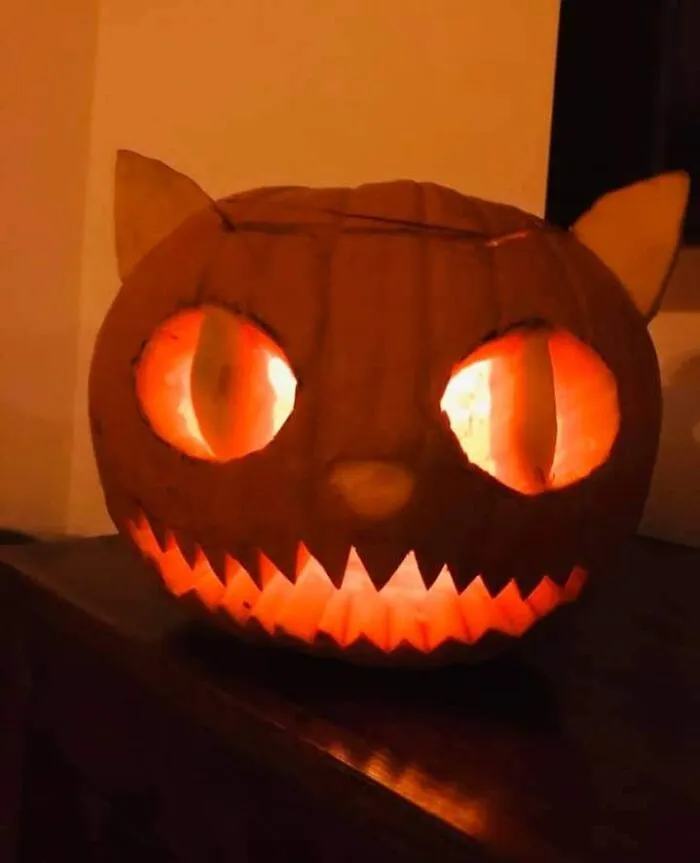 Grinnsekatze