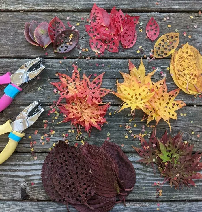 Instead Of Polluting The Planet With Confetti, Hole Punch Leaves Instead!
