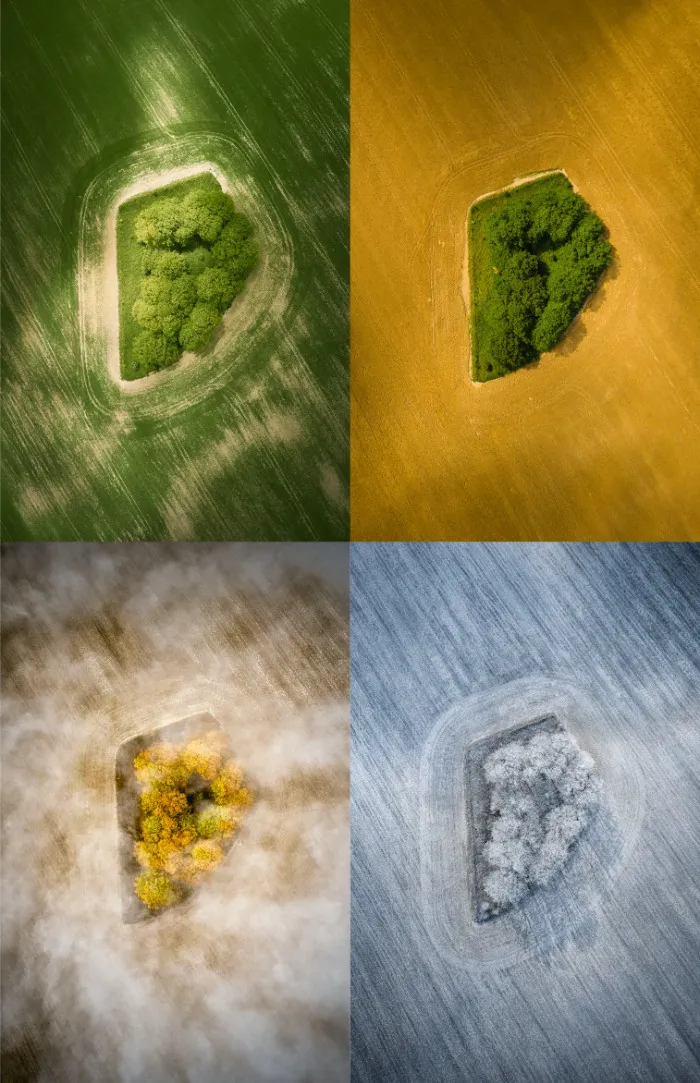 Your View Commended:  Neil Barclay, 'A Field In England'